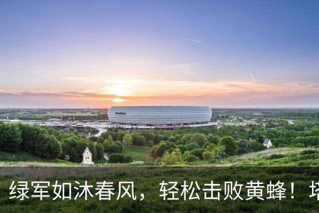 绿军如沐春风，轻松击败黄蜂！塔图姆闪耀全场